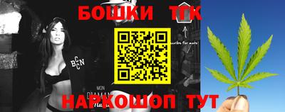 гашик Новодвинск