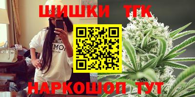 гашик Новодвинск