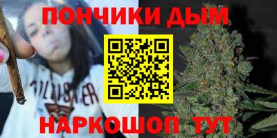 гашик Новодвинск