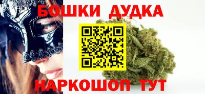 шишки Обь