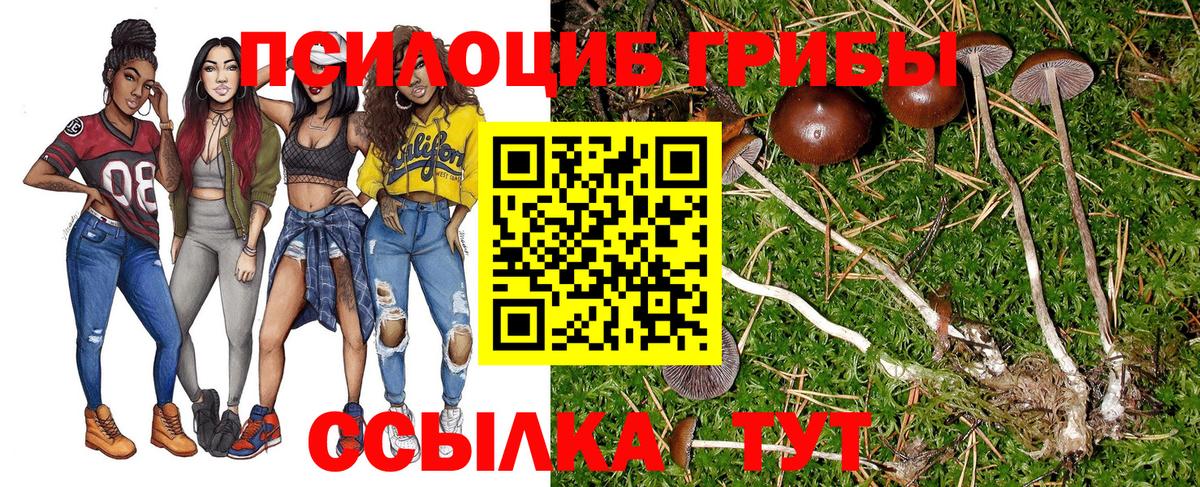 Псилоцибиновые грибы Cubensis Спасск-Дальний